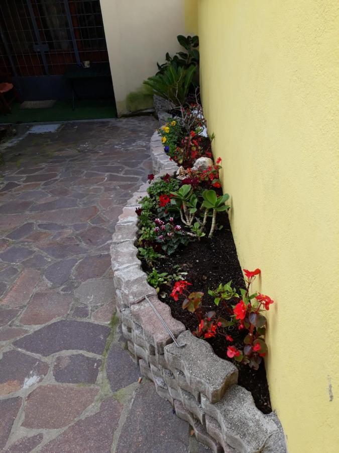 Appartement Flowery House à Rome Extérieur photo